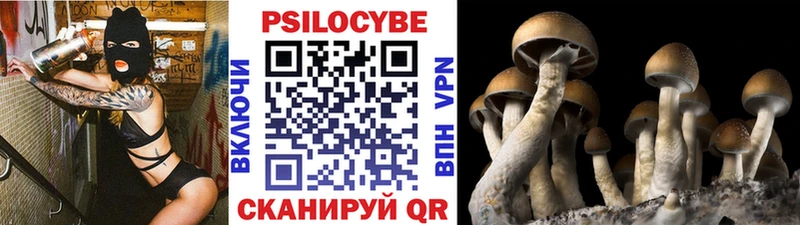 blacksprut ссылки  Чусовой  Галлюциногенные грибы прущие грибы  магазин продажи  